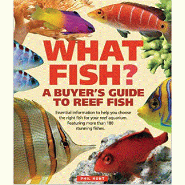 What Fish? A Buyer's Guide to Reef Fish