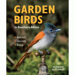 Garden birds in Southern Africa